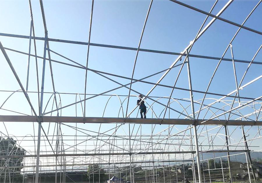 clear plastic sheeting for greenhouses supplier