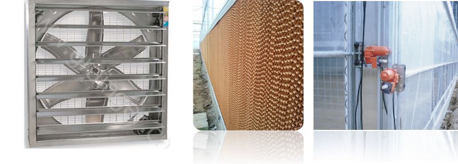 clear plastic sheeting for greenhouses manufacture