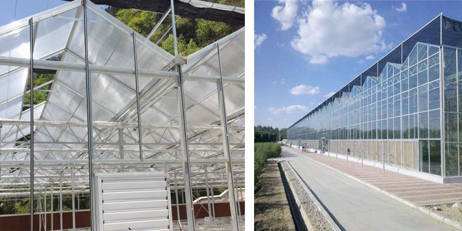 greenhouse sheeting polycarbonate made in china