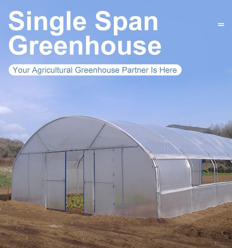 Greenhouse Supplier Greenhouse Supplier