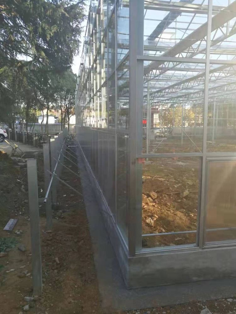 How should glass greenhouses be managed before summer arrives