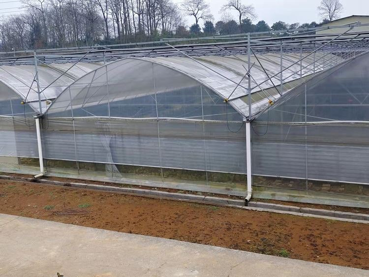 Seedbed System Diagram Device Education Process Seedbed System Diagram Device Education Process