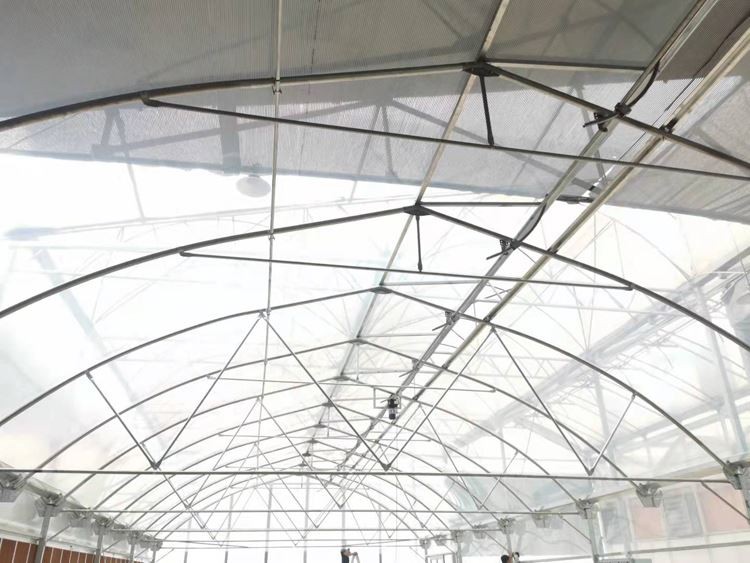 Greenhouse Project In China