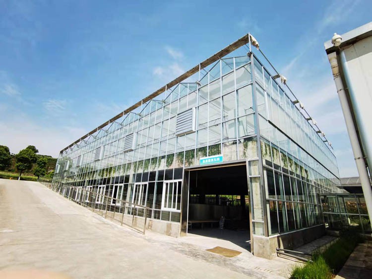 How to replenish carbon dioxide in the greenhouse