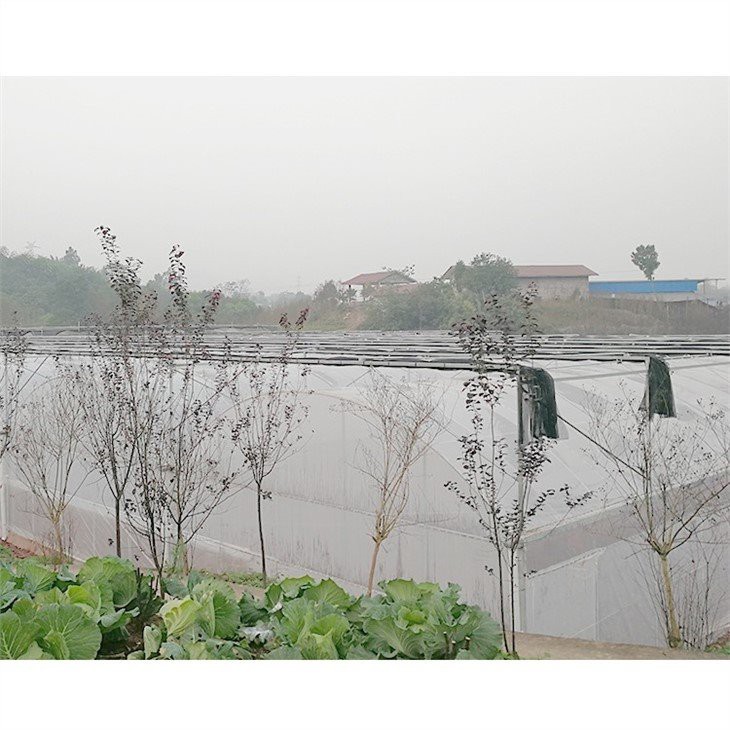 clear plastic sheeting for greenhouses made in china