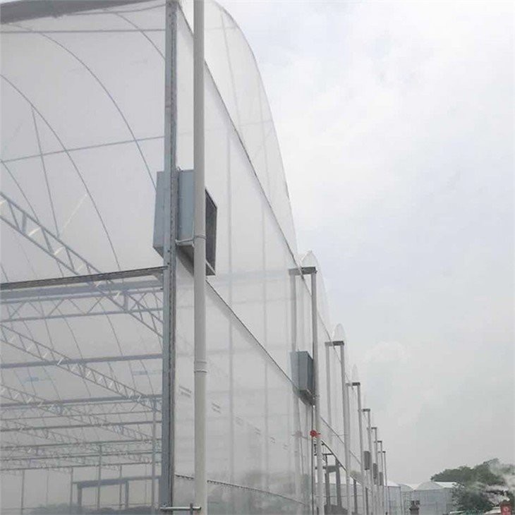 clear plastic sheeting for greenhouses price
