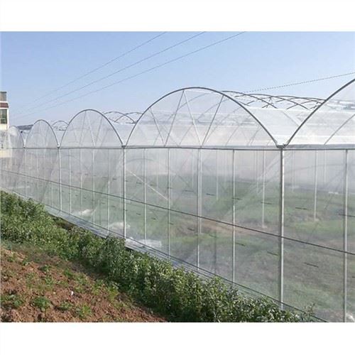 6 مل دفيئة بلاستيك